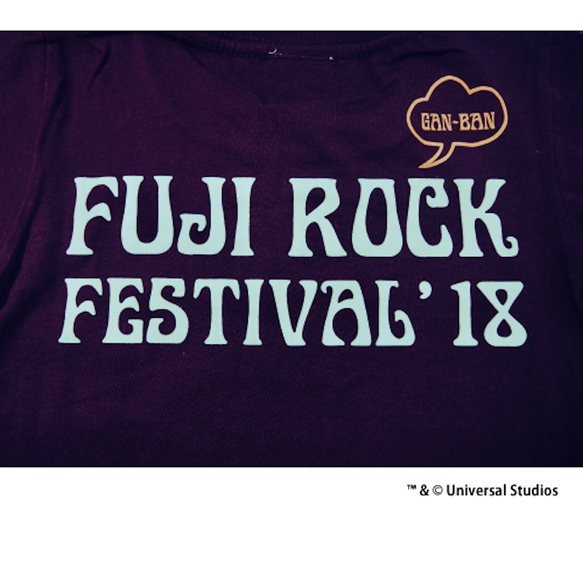 fuji18-minon-08